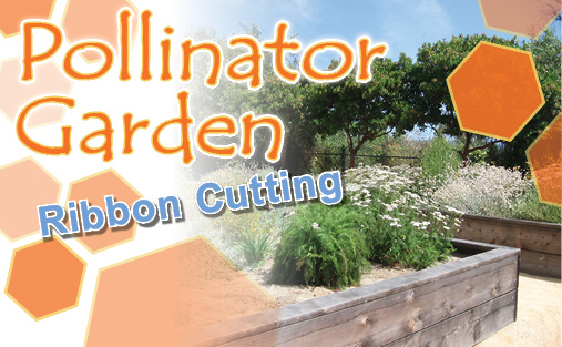 Pollinator Garden News