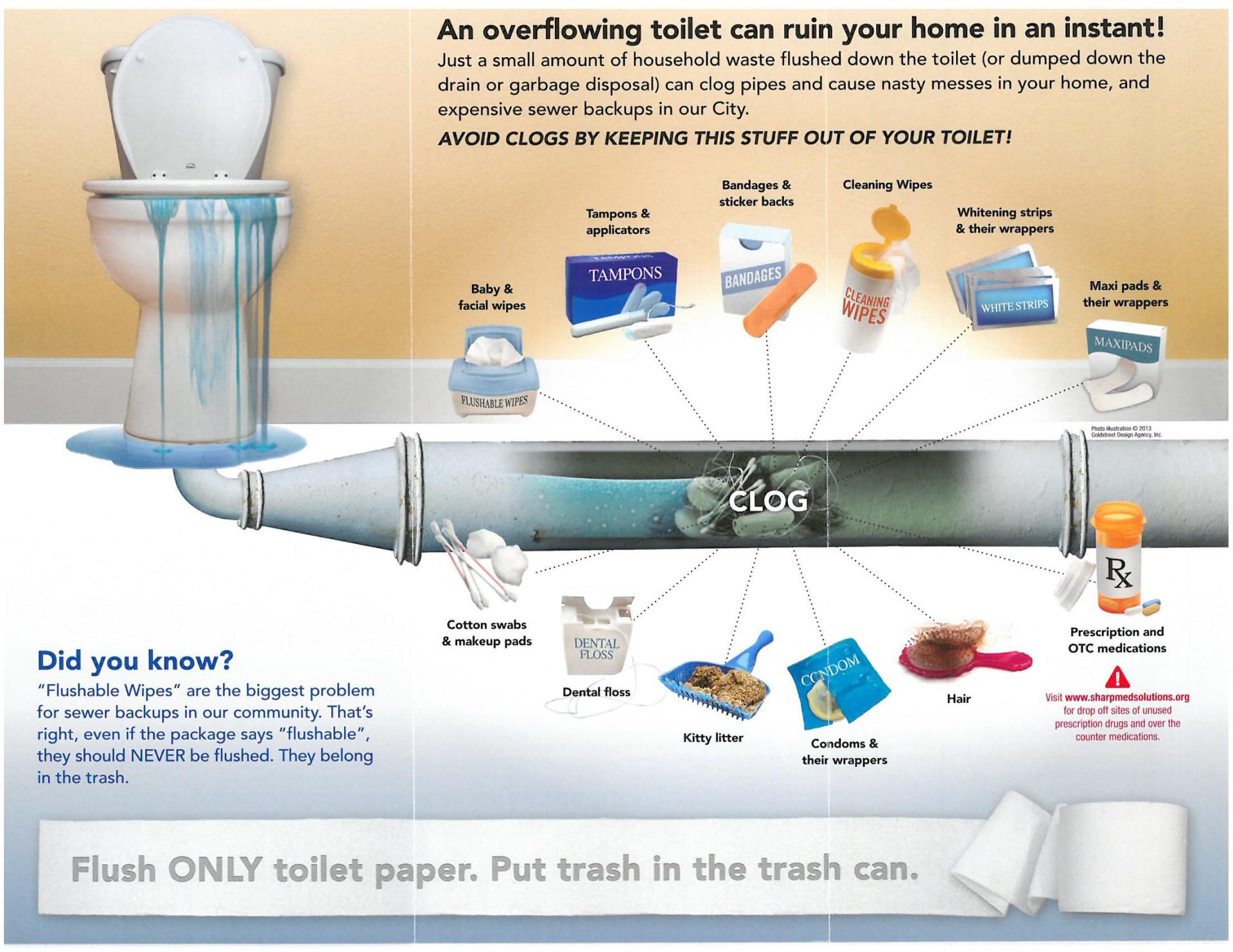 Think Before You Flush Brochure Page_2