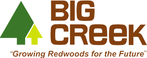 big_creek_logo