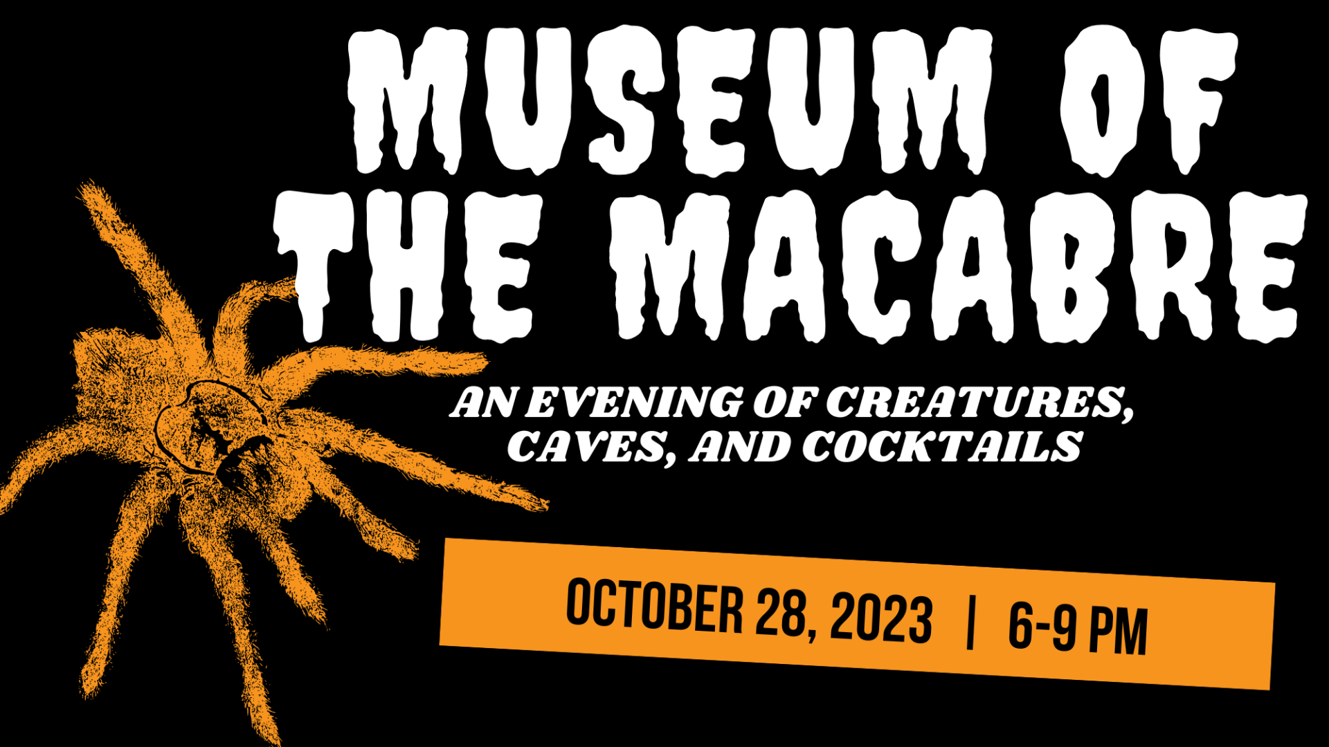 FINAL-2023-Museum-of-the-Macabre-banner