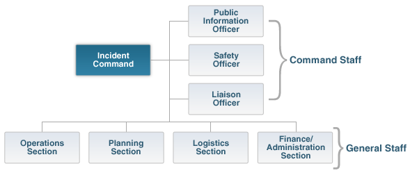 ICS Structure